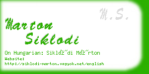 marton siklodi business card